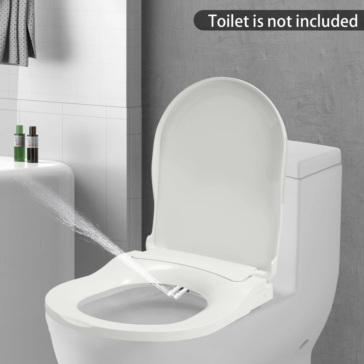 Non Electric Bidet Toilet Seat With Dual Nozzle Cleaning System
